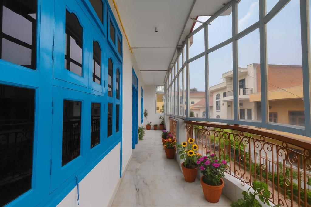 Kashivas Teerthstay corridor with blue windows and sunflowers